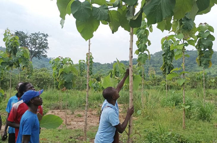 Protection de l’environnement : pourquoi impliquer les jeunes ?