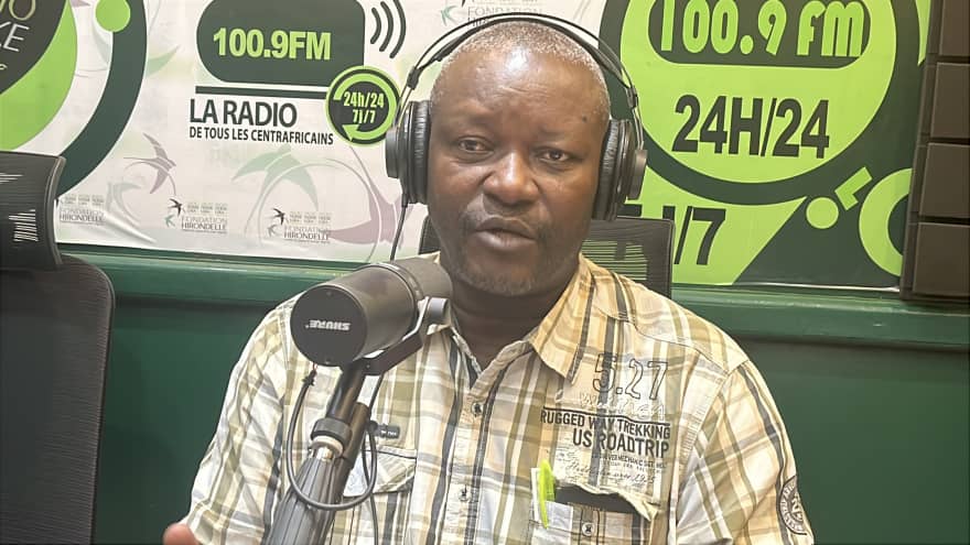 Comment relever l’élevage de porcs en République centrafricaine ?