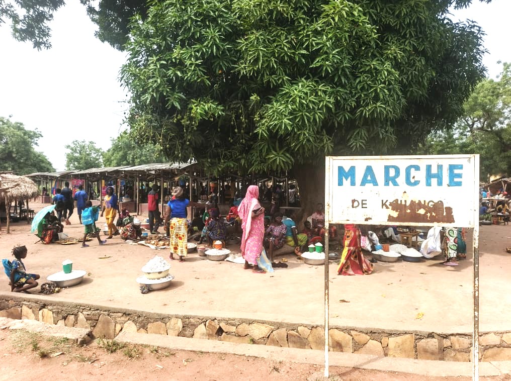 Centrafrique : coup de pouce de la FAO aux producteurs de café et de manioc de Kouango