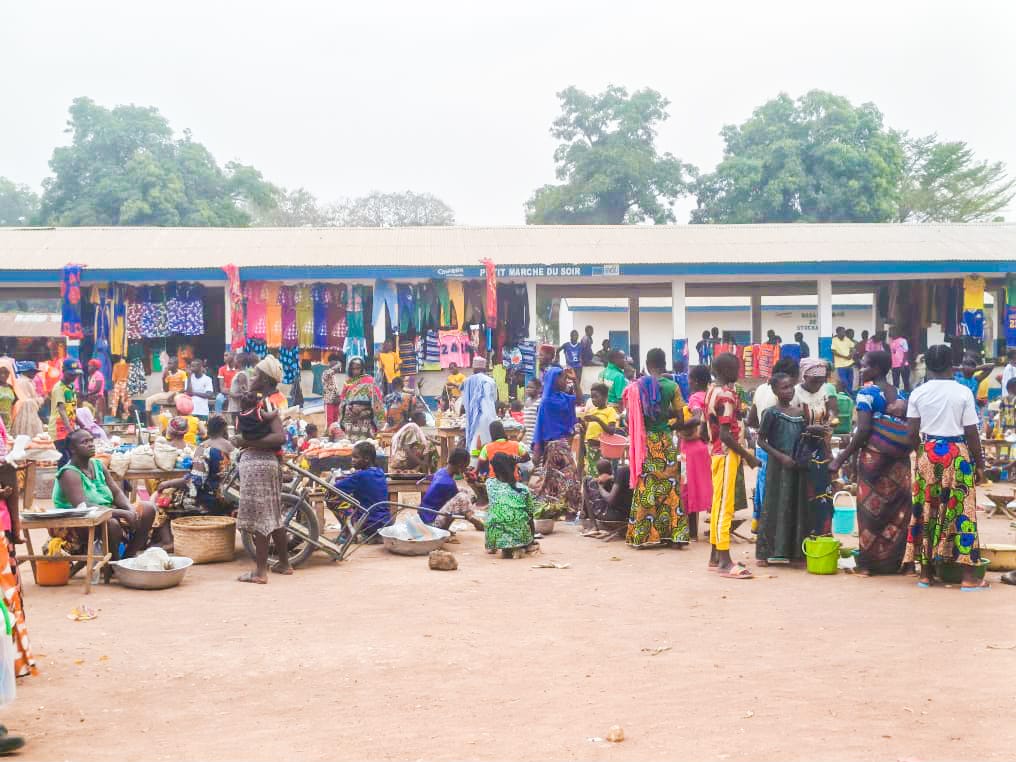 Inversion des rôles sociaux : les femmes de Kouango en avance sur le concept genre ?