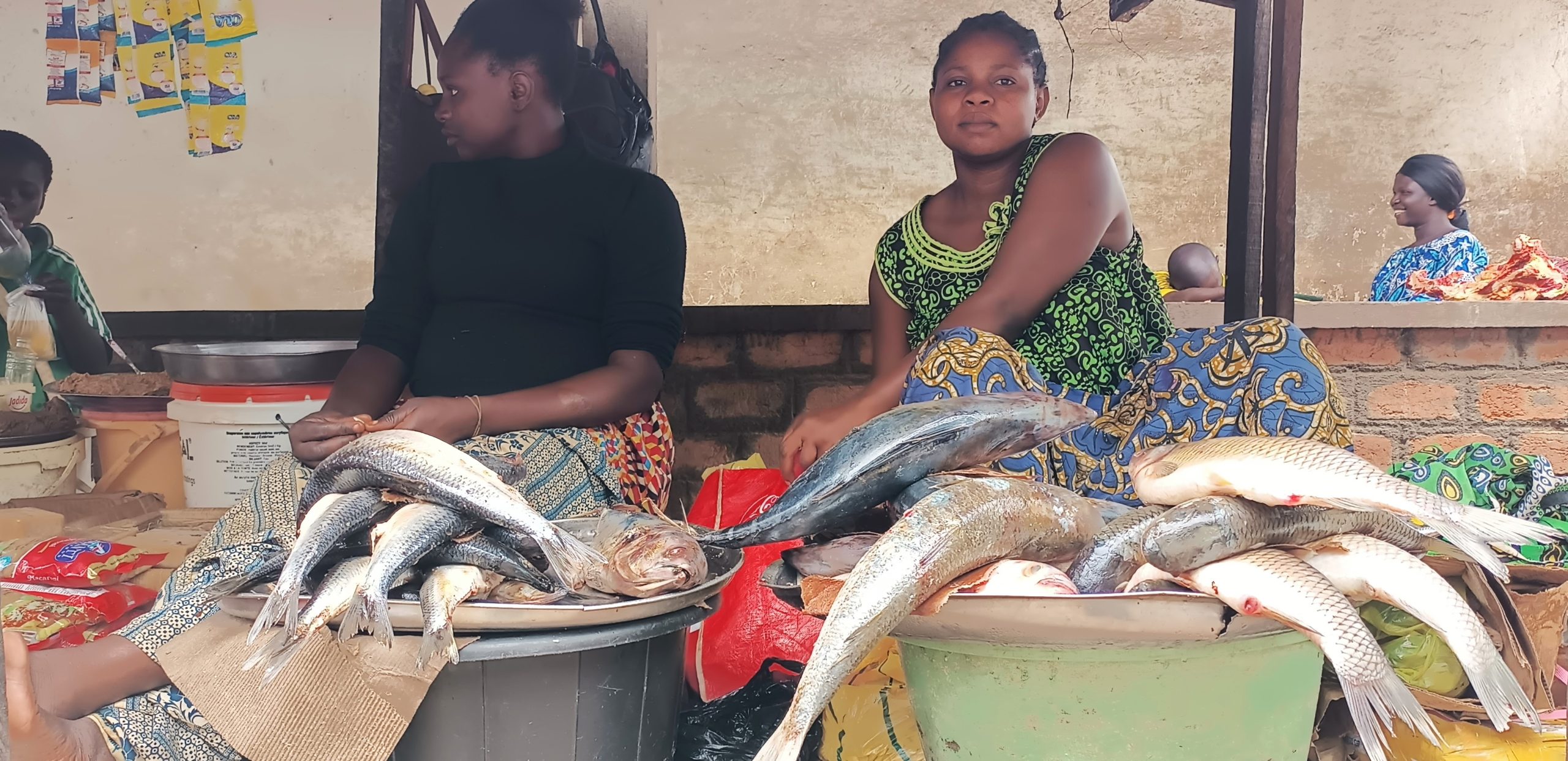 Kouango : le poisson, aliment le plus consommé localement se fait rare
