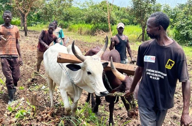 Agriculture : la jeunesse d’aujourd’hui s’intéresse-t-elle à ce domaine ?