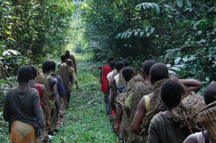 Centrafrique : la communauté Ba Aka réclame une meilleure représentation dans les institutions