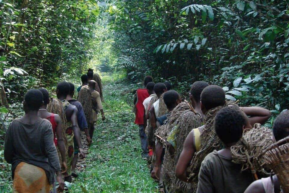 Centrafrique : la communauté Ba Aka réclame une meilleure représentation dans les institutions