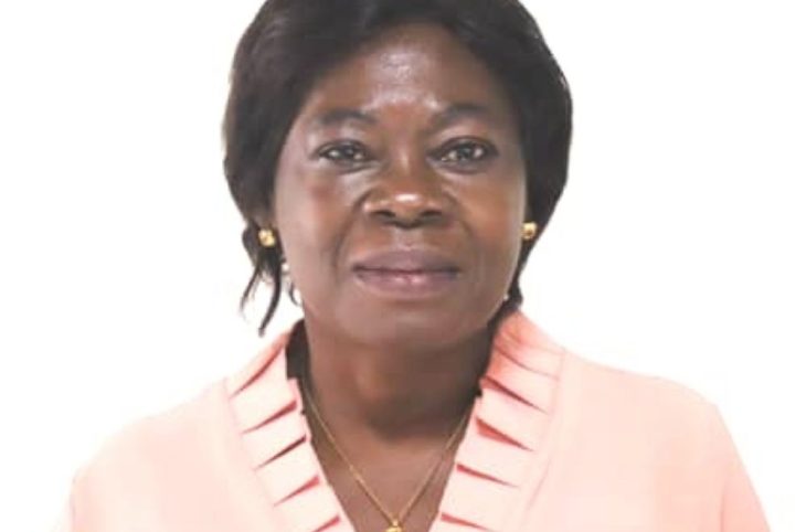 « Ndoyé » : "Le projet ne vise pas uniquement les victimes de chocs climatiques"