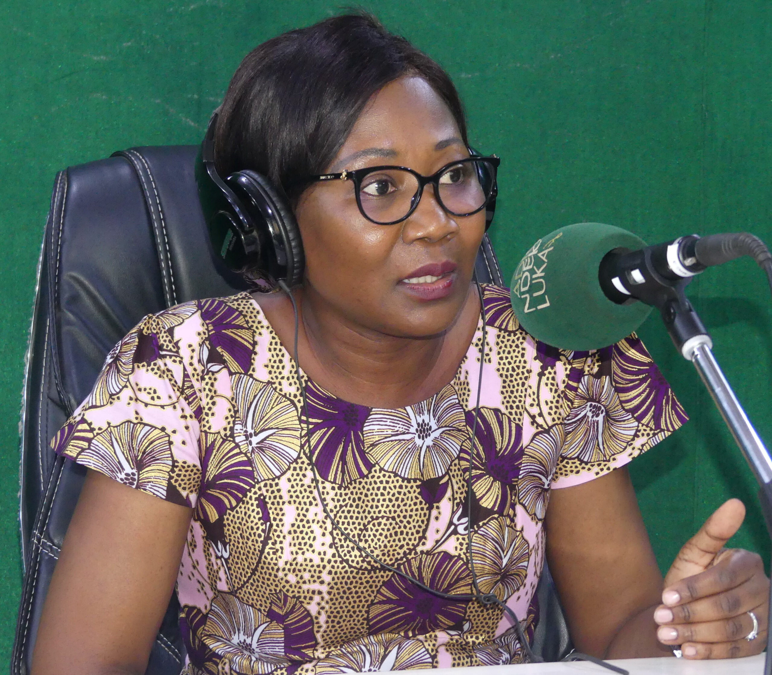 « La diplomatie centrafricaine se veut orientée vers le développement »