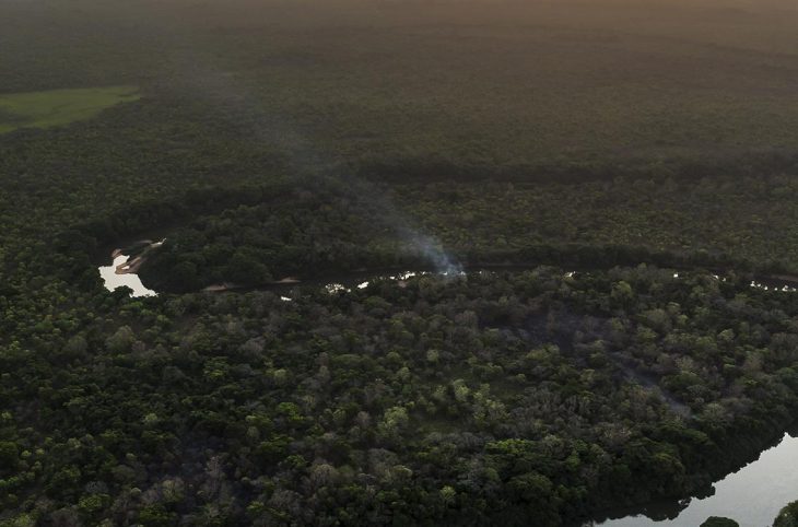 Environnement : quels sont les bienfaits que nous offre la terre ?