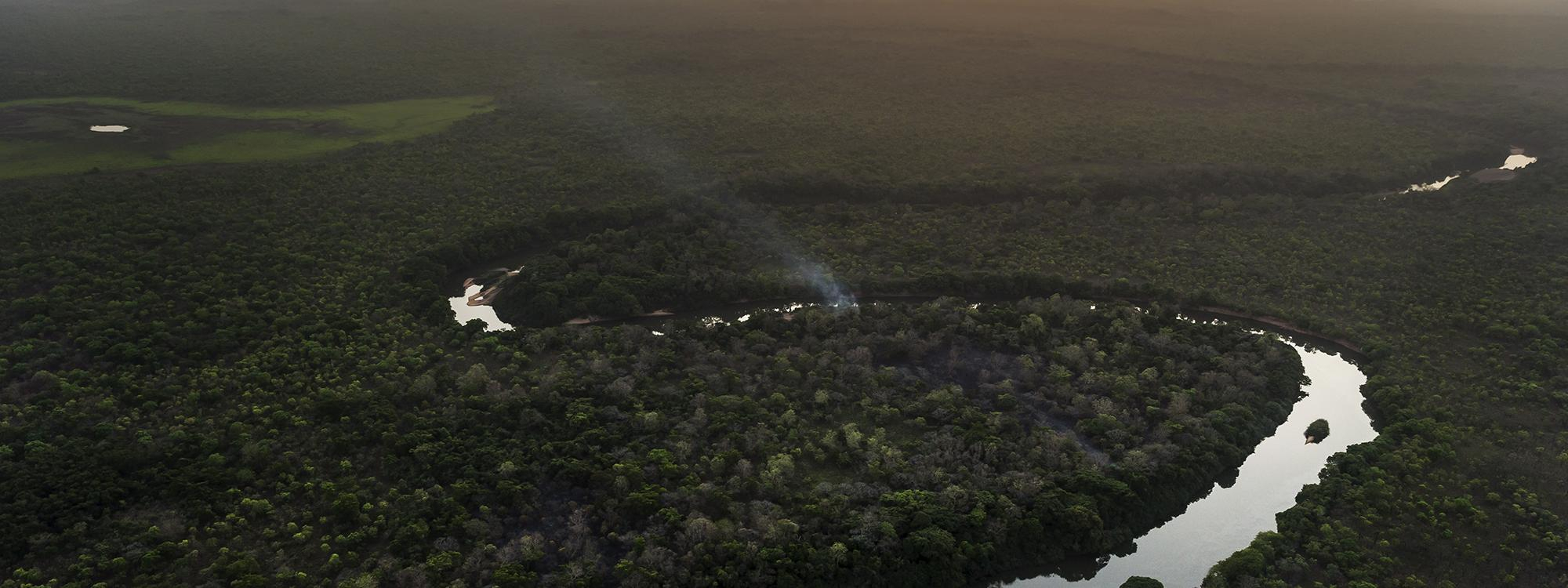 Environnement : quels sont les bienfaits que nous offre la terre ?