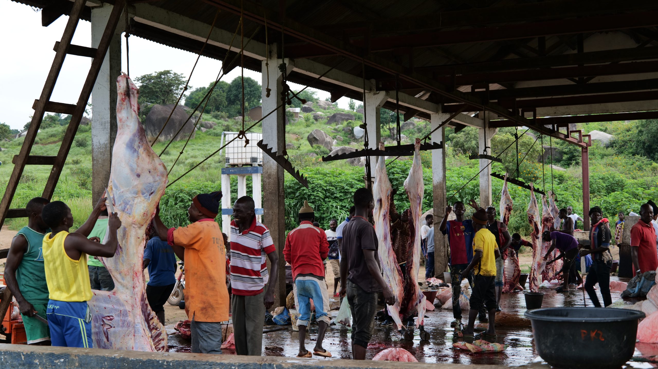 Centrafrique : l’abattoir de Bouar confronté à d’énormes difficultés