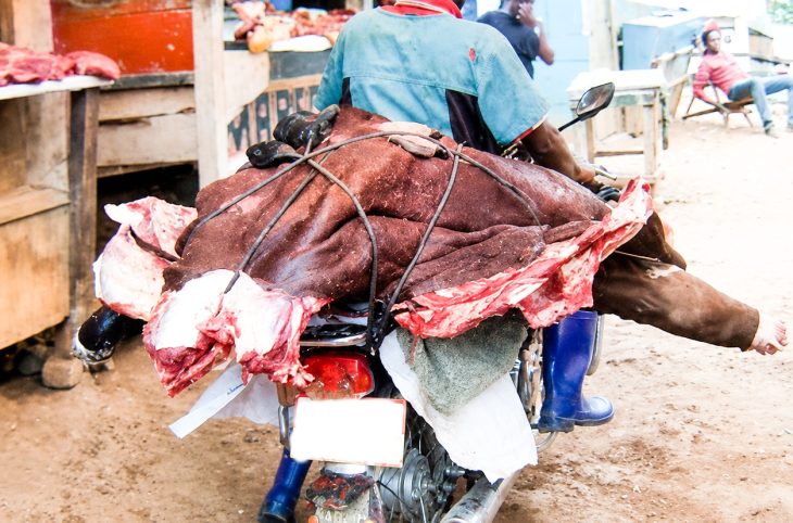 Centrafrique : le gouvernement interdit le transport de la viande de bœuf dans des moyens non adaptés