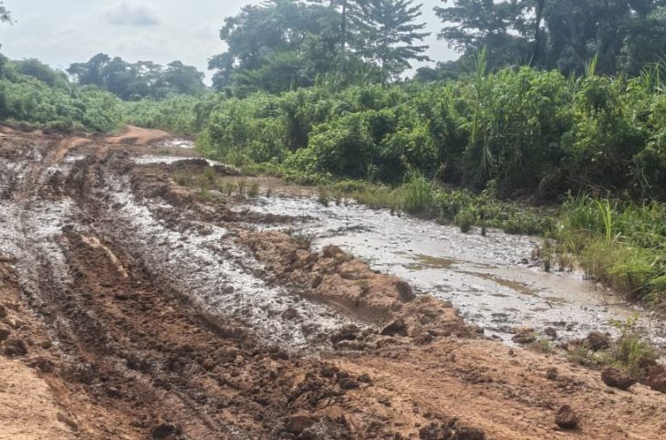 Lobaye : la forte dégradation de l’axe Mbaïki-Boda paralyse les activités économiques