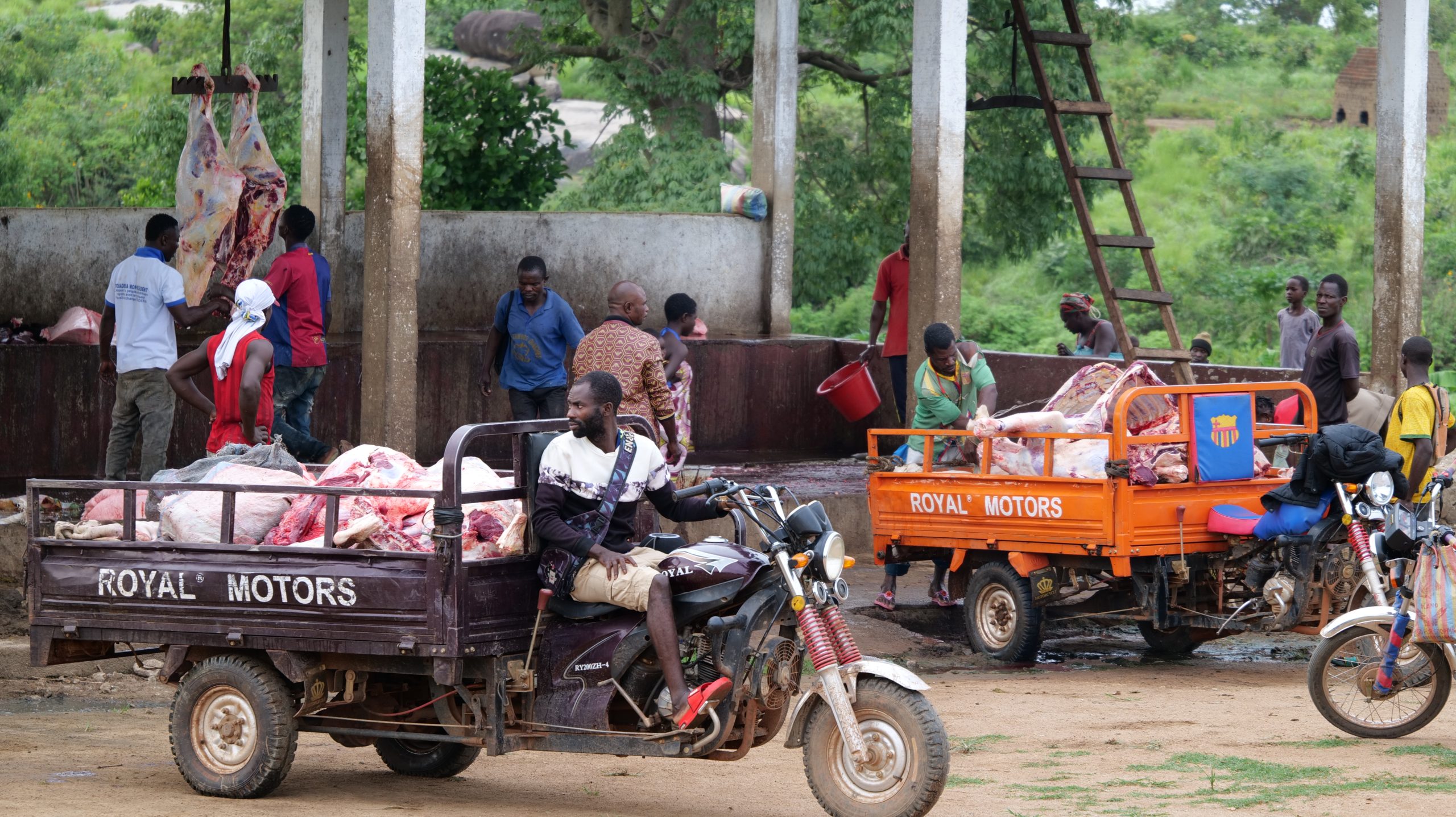 Centrafrique : grogne des bouchers après l’entrée en vigueur de l’interdiction du transport de la viande de bœuf dans des moyens inappropriés