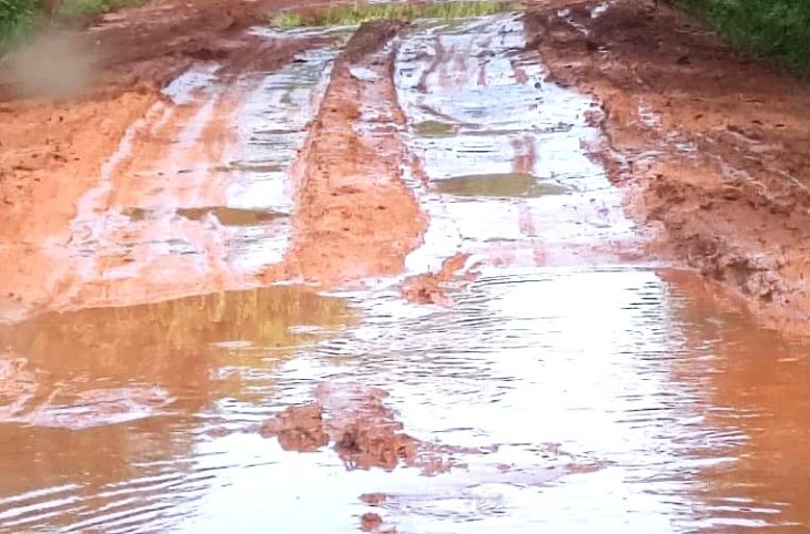 Centrafrique : Berberati-Bayanga, la route des épreuves