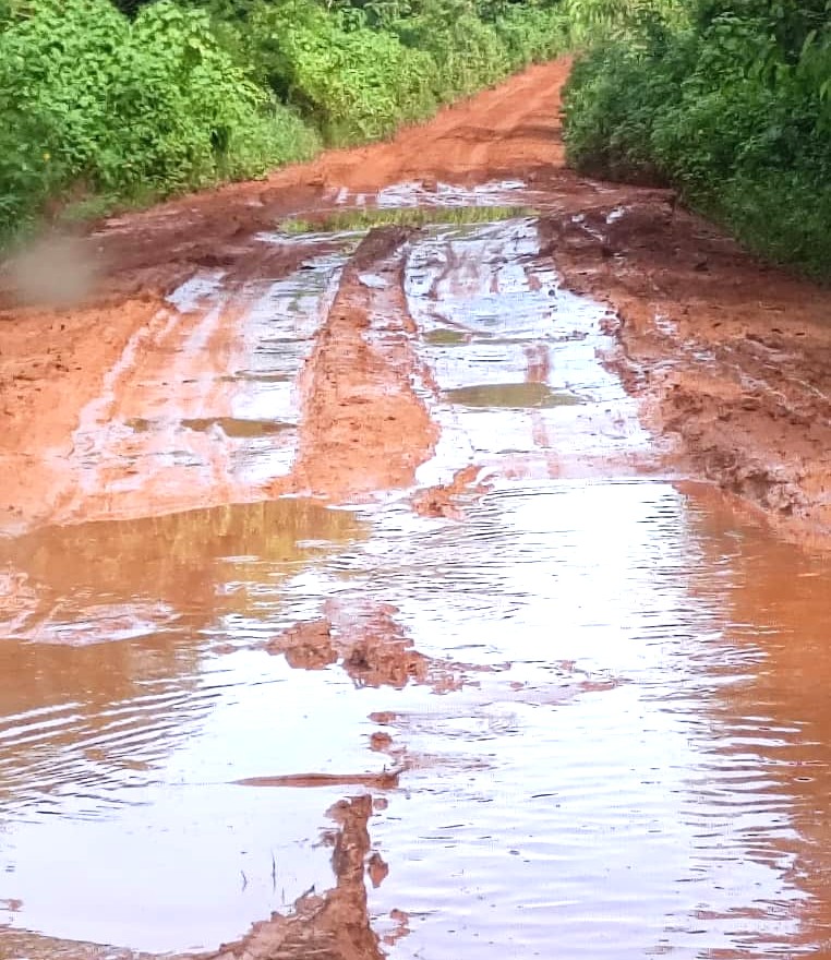 Centrafrique : Berberati-Bayanga, la route des épreuves