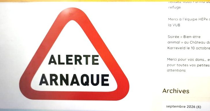 L’arnaque en ligne continue de faire des victimes, témoignage