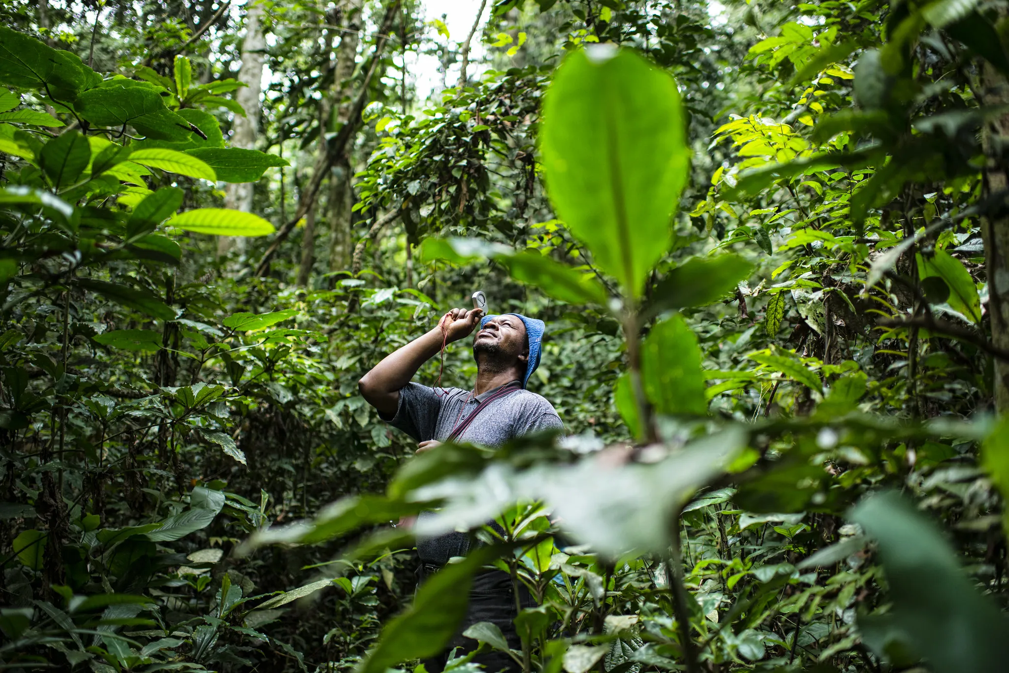 Gouvernance climatique : la gestion des terres et des forêts est-elle transparente en RCA ?