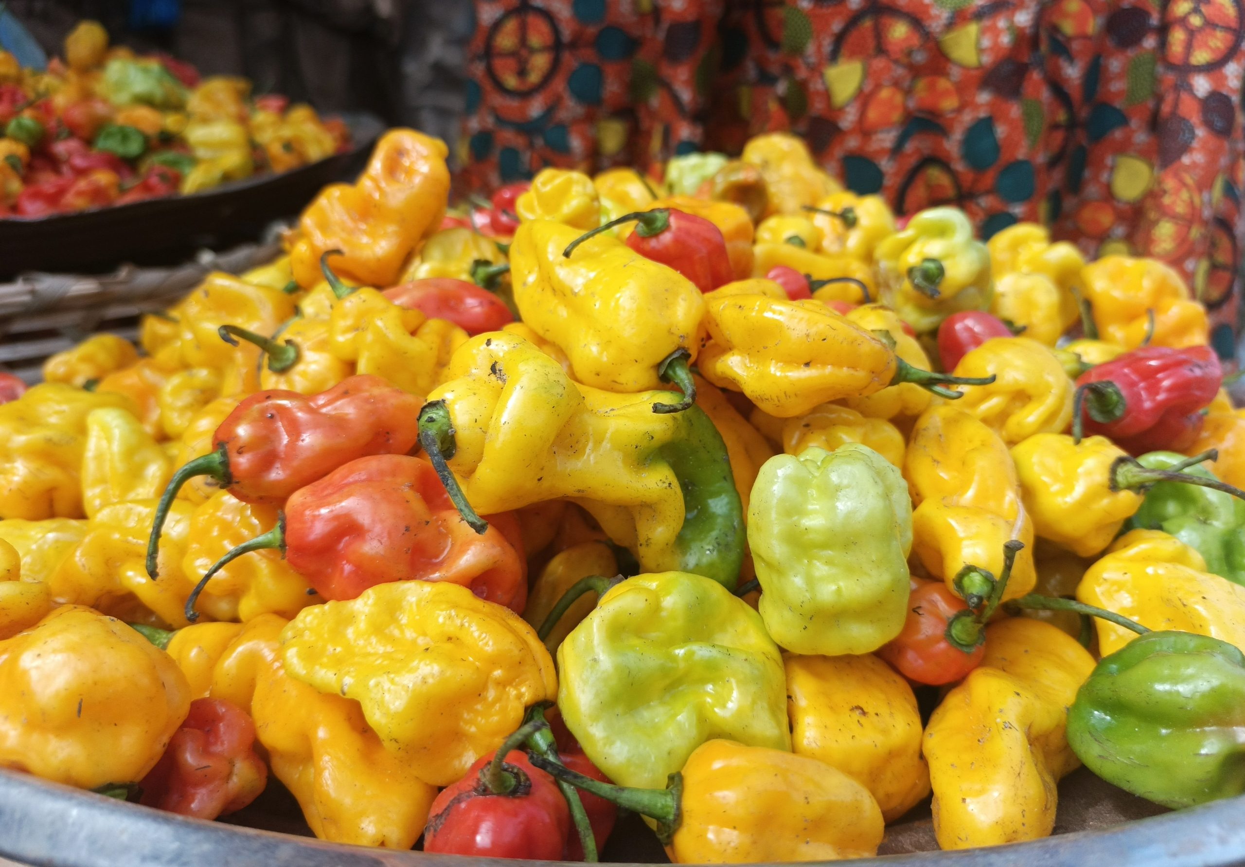 Bangui en rareté de piment