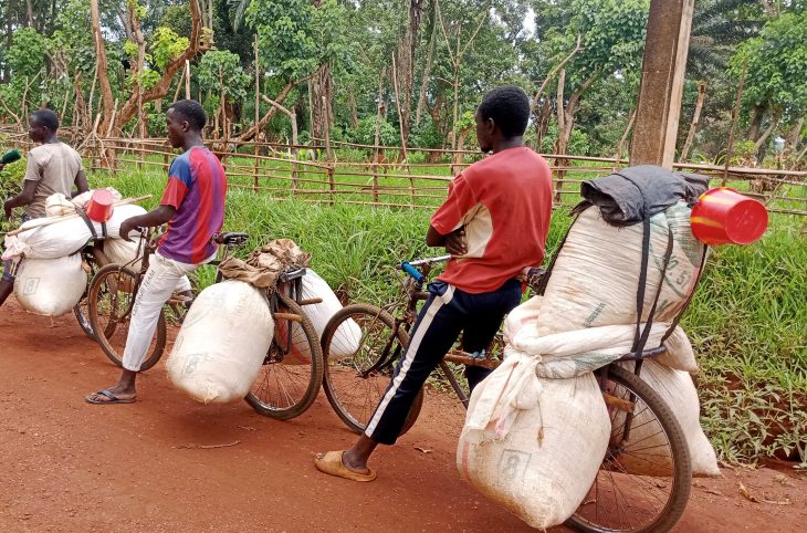 Reportage à Bangassou : le vélo, principal moyen de déplacement