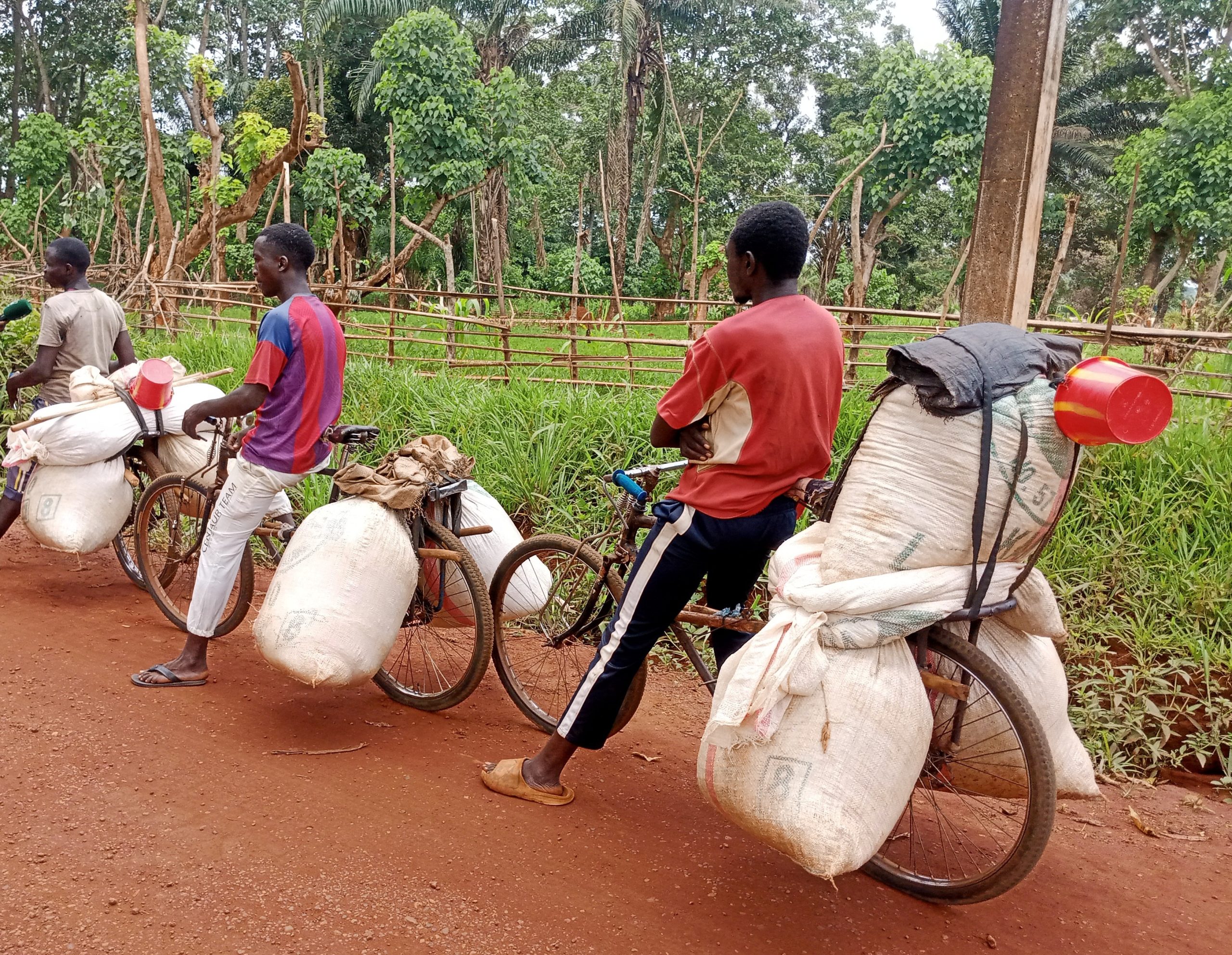 Reportage à Bangassou : le vélo, principal moyen de déplacement