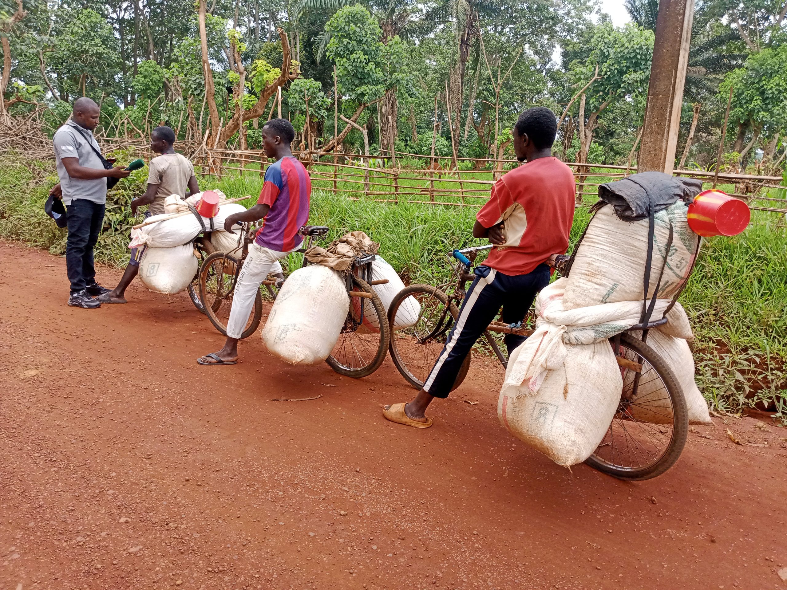 Reportage à Bangassou : le vélo, principal moyen de déplacement