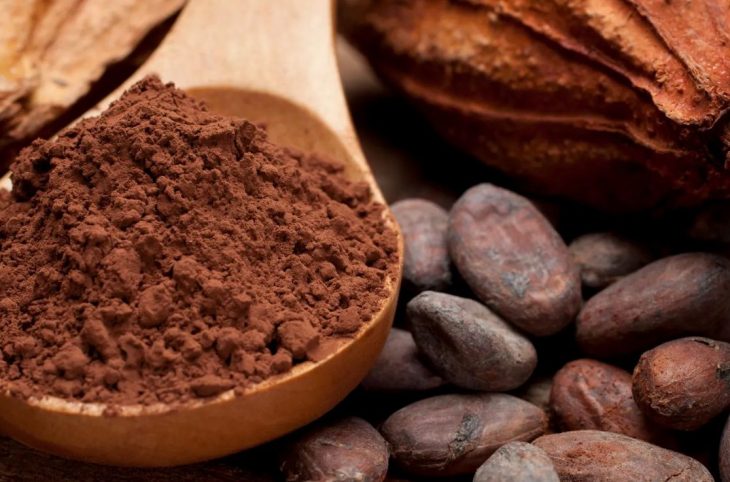 Cacao : quelles sont les différentes techniques de transformation ?