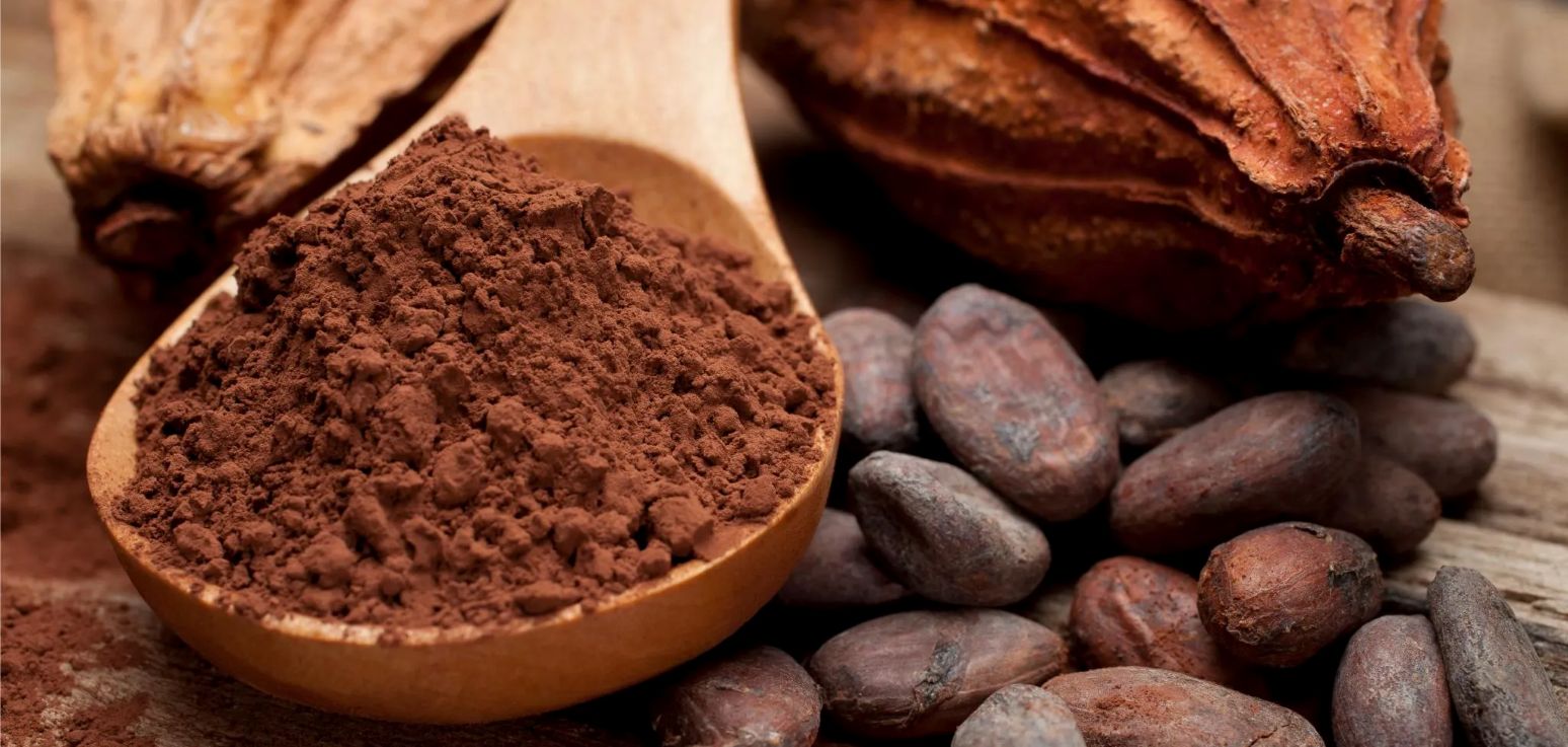 Cacao : quelles sont les différentes techniques de transformation ?