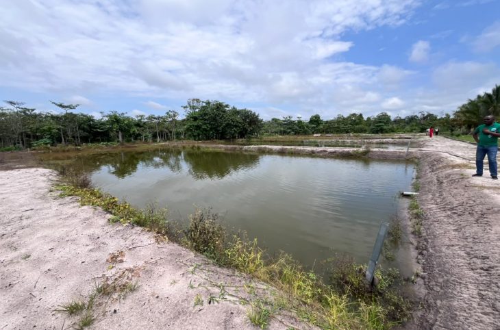Mag-Agri : la vidange des bassins hors sol, une pratique essentielle