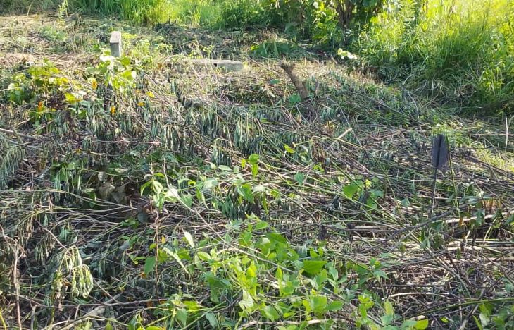 Bangui : des habitants de Liton dénoncent la profanation des tombes