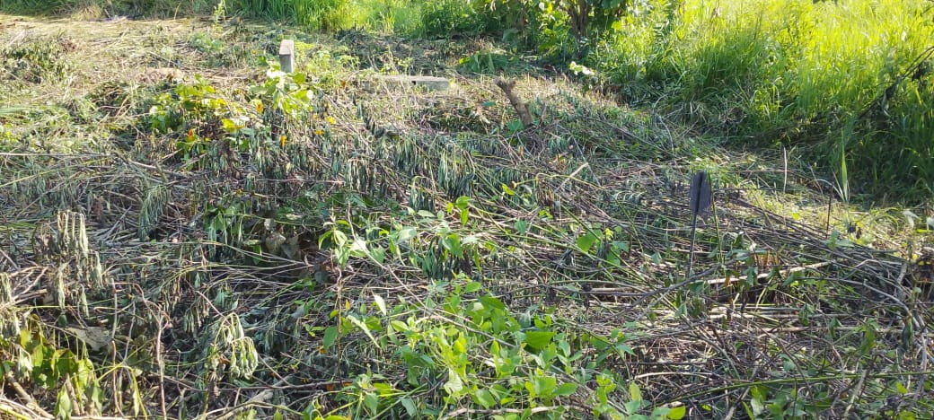 Bangui : des habitants de Liton dénoncent la profanation des tombes