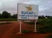 Grève à la SUCAF à Ngakobo, le personnel maintient la pression malgré les négociations