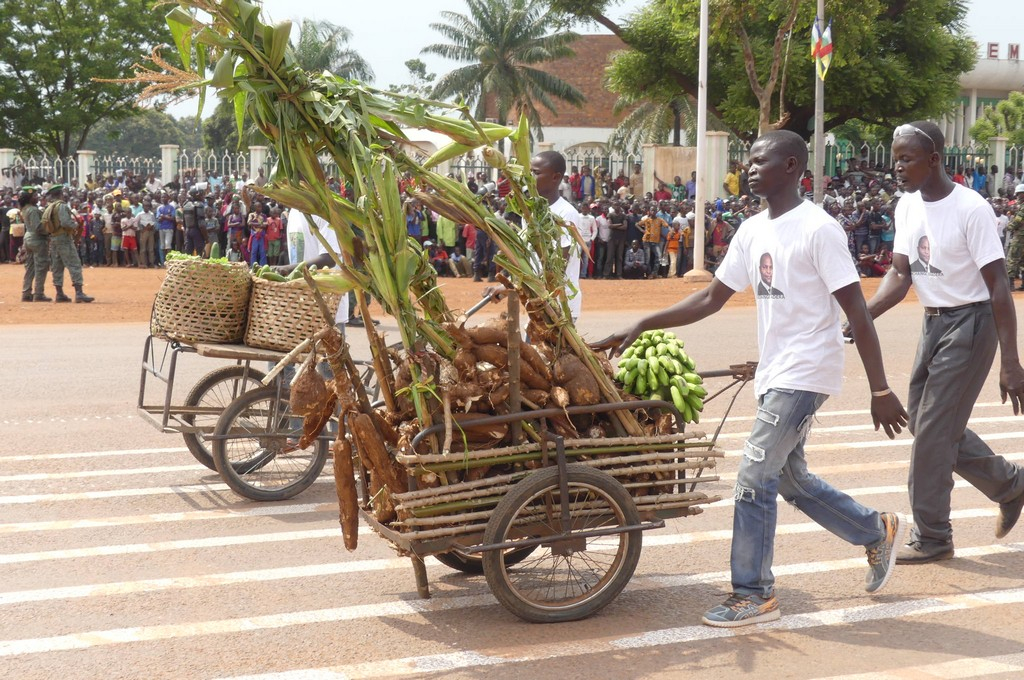 Les explications scientifiques sur une qualité de manioc en circulation sur le marché à Bangui