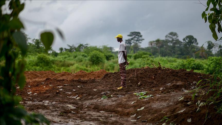 Quelles sont les procédures à suivre en vue de l’acquisition d’une parcelle ?