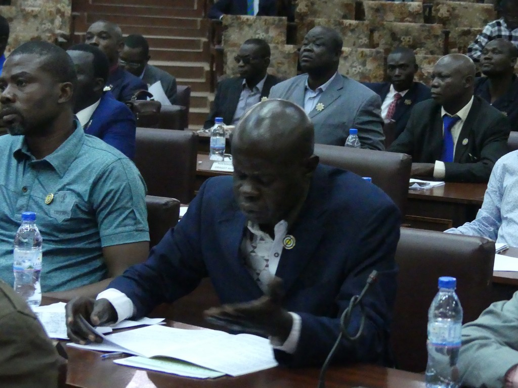 Dans quel contexte l’immunité parlementaire est-elle applicable ?