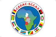 La CEEAC favorable à un désarmement forcé des groupes armés en RCA