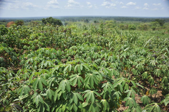 Mag-agropastoral : L’accompagnement des agriculteurs pendant la nouvelle campagne agricole