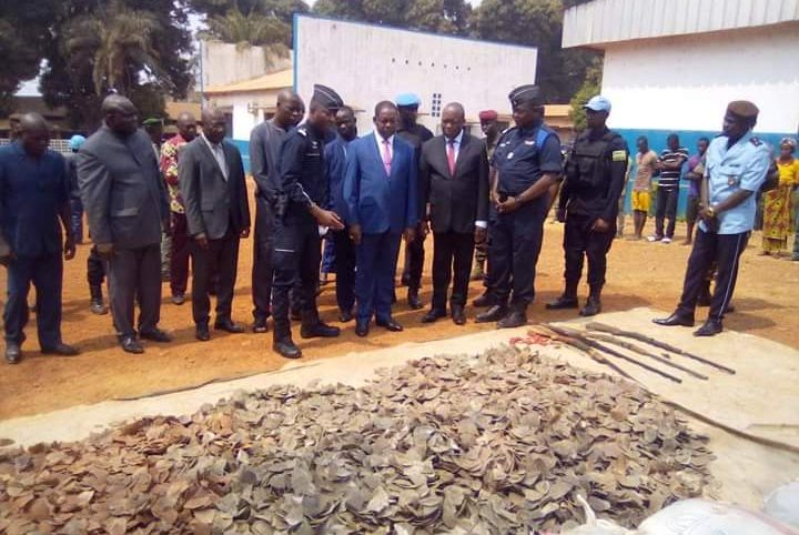 RCA : Saisie impressionnante d'écailles de pangolins estimées à plus d'un million d'euros
