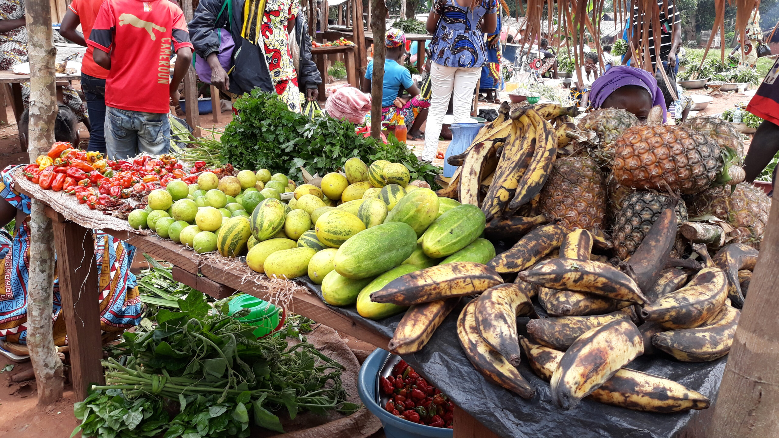 Bangui : Hausse généralisée de prix des denrées alimentaires suite à la fermeture partielle des frontières avec les pays voisins