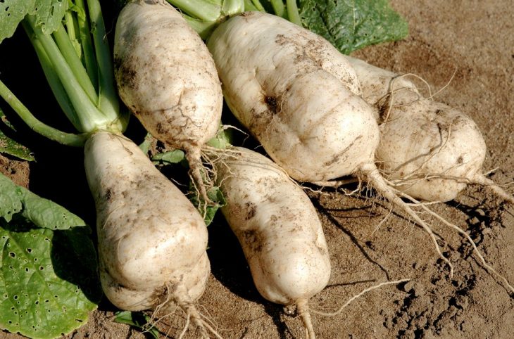 La société coopérative, une entreprise d'après Aimé Roger Kossomboye