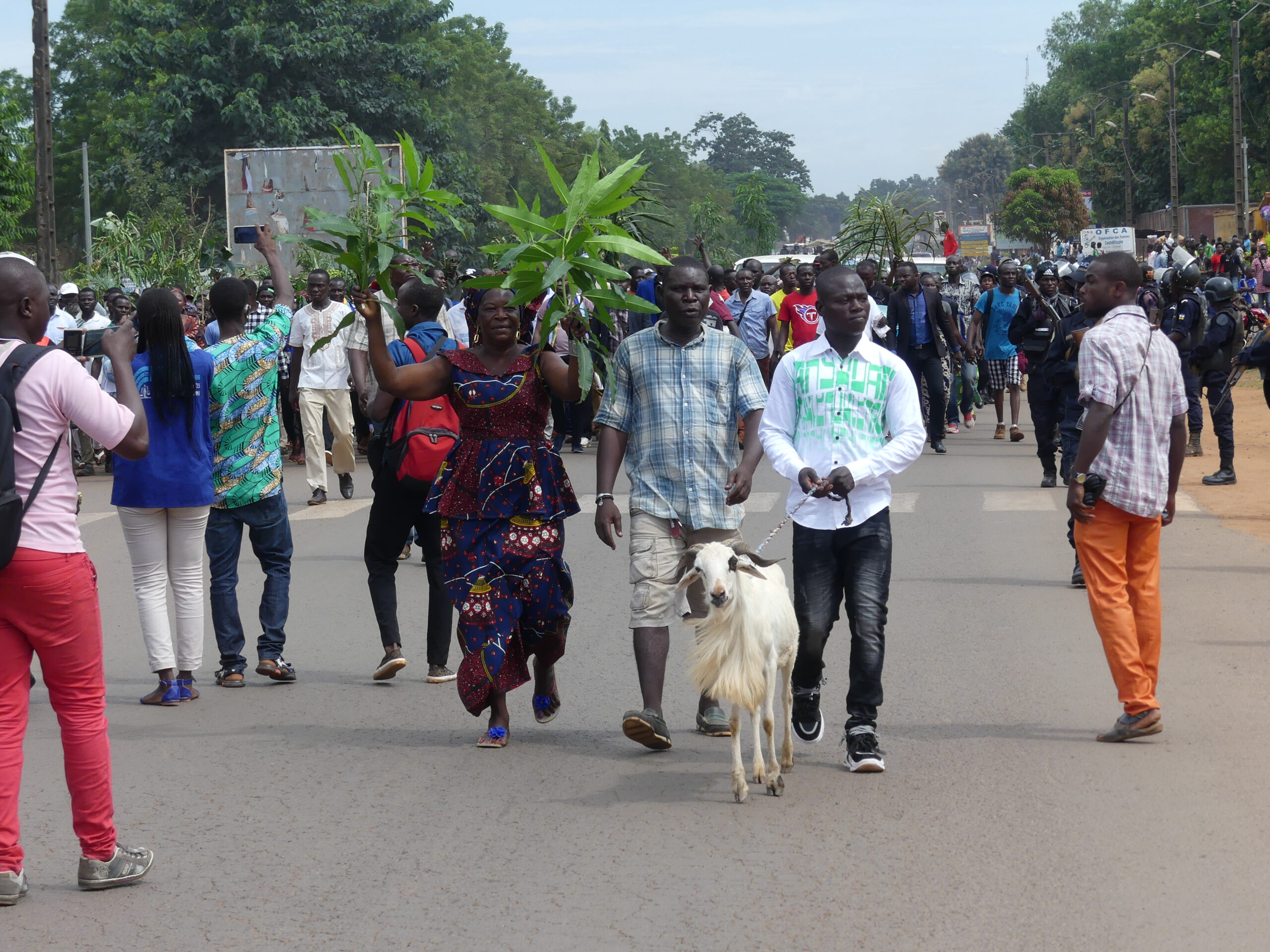 Centrafrique: marche des partisans du pouvoir contre AG Dologuélé