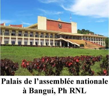 Le Code électoral et le projet de loi sur la Cour pénale spéciale devant le CNT