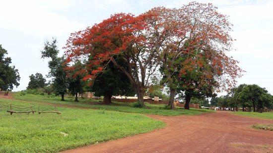 Bouca : inquiétude suite à la montée de la justice populaire à Bouca