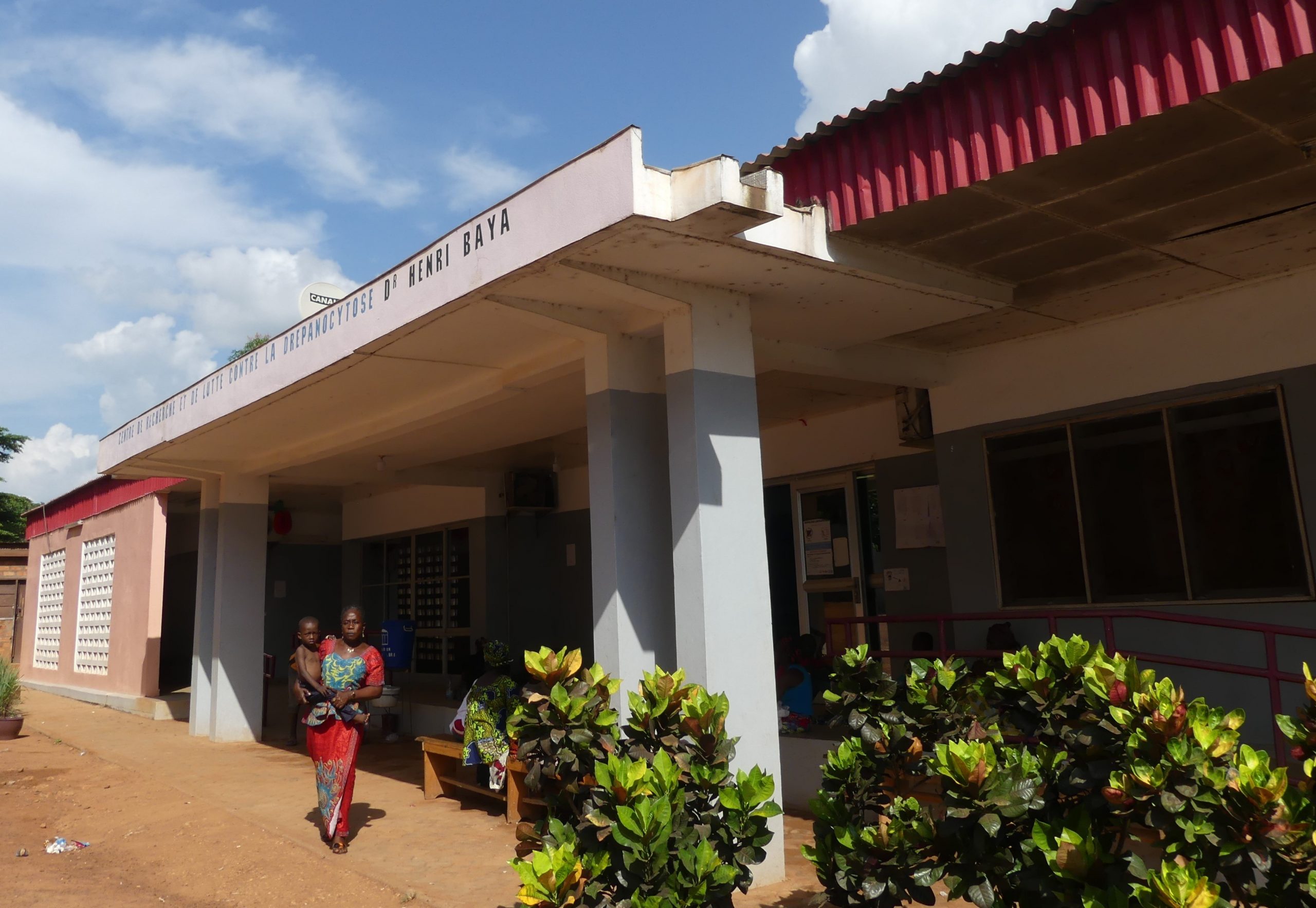 Centrafrique : l’unique centre de prise en charge des drépanocytaires dépourvu de moyens