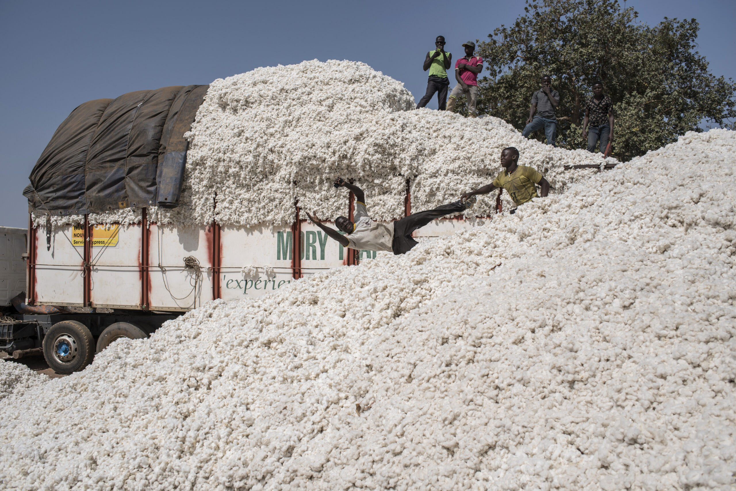 Kémo : les cotonculteurs exigent du gouvernement le paiement de plus de 9 millions F Cfa