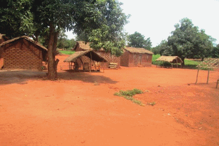 RCA : Plus de 90% des habitants de Bria dans la précarité