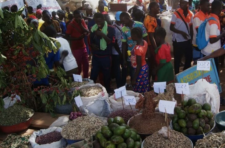 Centrafrique : la 17e édition de la foire agricole s’est terminée sur une note de satisfaction à Bozoum