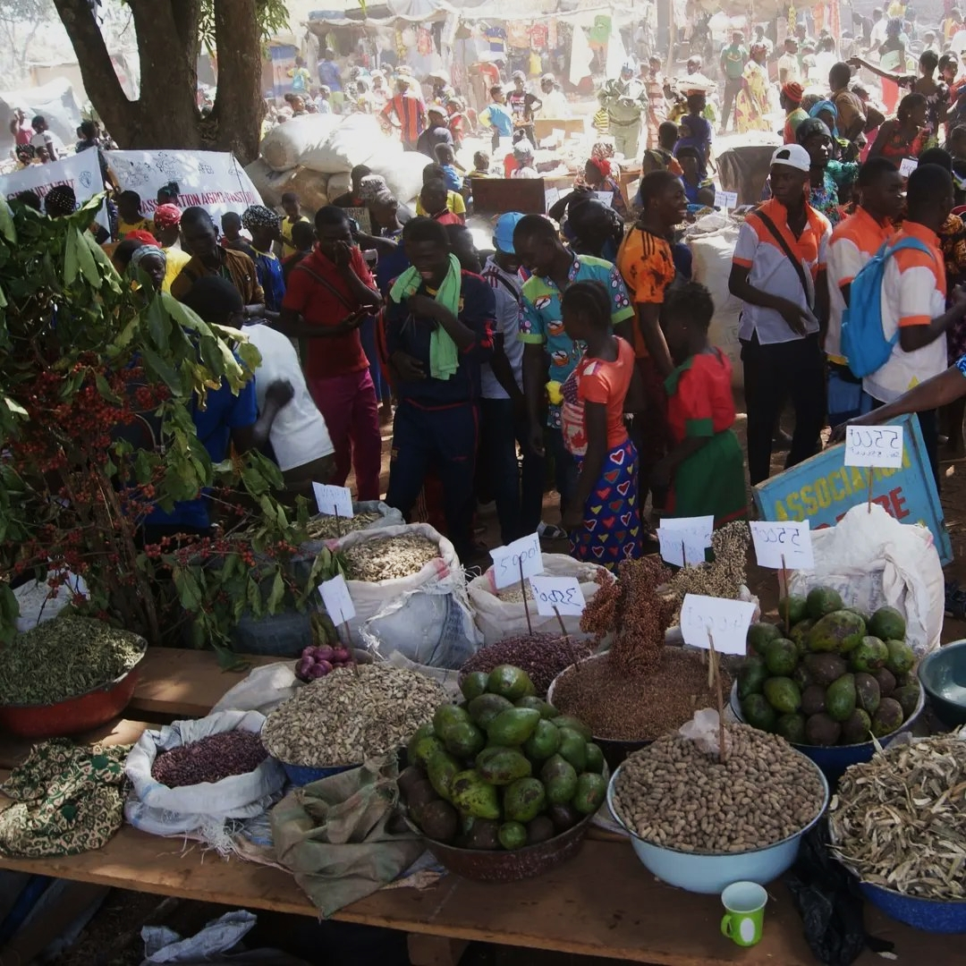 Centrafrique : la 17e édition de la foire agricole s’est terminée sur une note de satisfaction à Bozoum