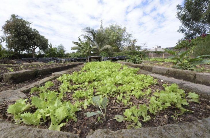 L'importance du calendrier agricole