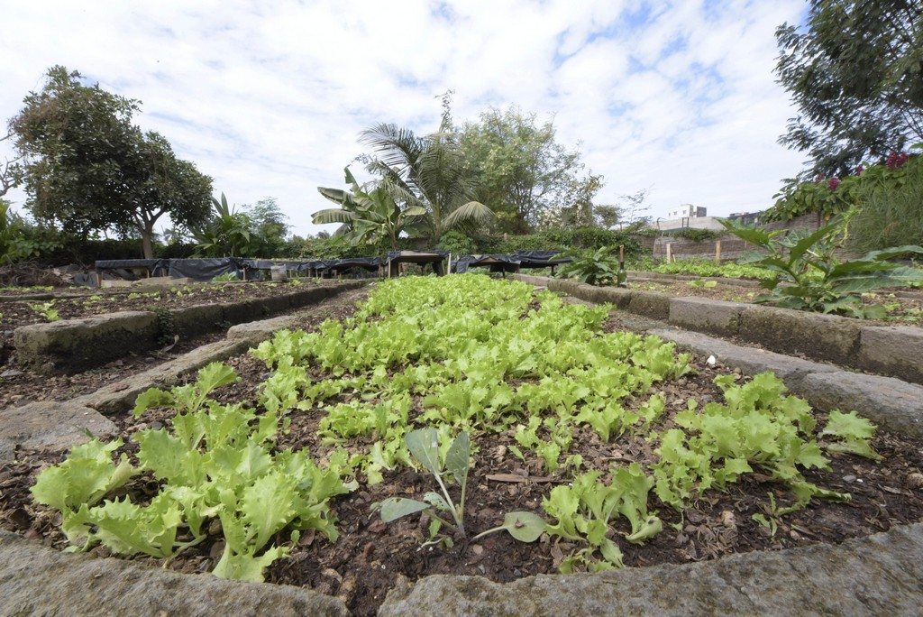 L’importance du calendrier agricole