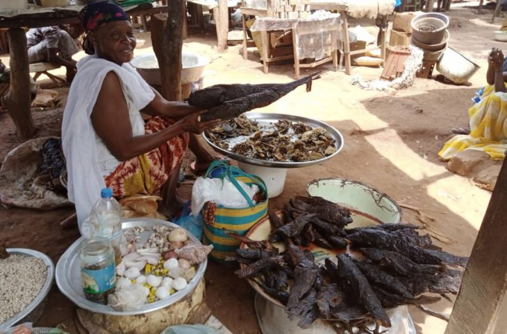 Centrafrique : les aliments aquatiques abondent sur le marché de Bria