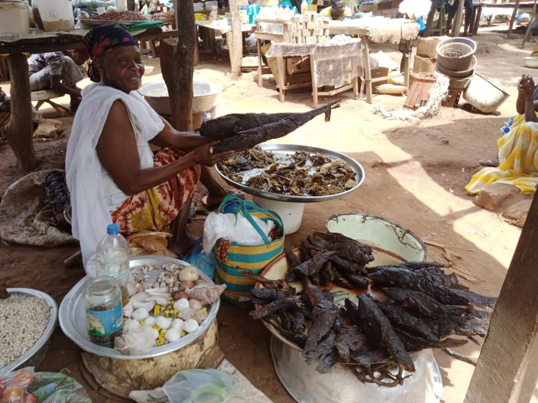 Centrafrique : les aliments aquatiques abondent sur le marché de Bria